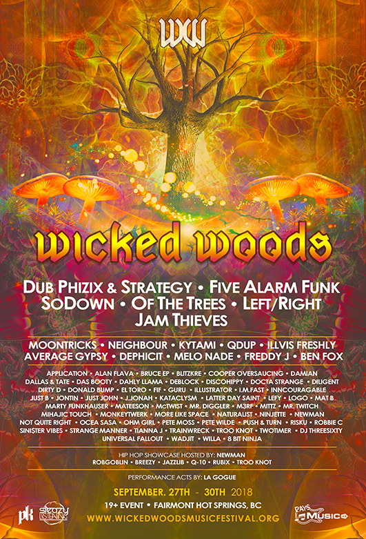 Past Lineups Wicked Woods Music Festival